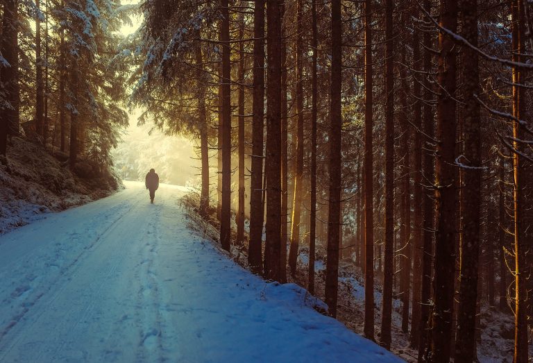 L’inverno di Giona di Filippo Tapparelli